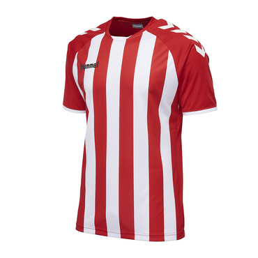 Hummel Core Striped Ss Jersey
